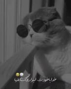 طنز امیر ها امیر علی امیر حسین هر کی هستی فق امیری😂😂