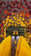  می دانی پاییز چه کسی است؟🍁🍂🦊