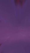 بنفشششش:)!!!!!!!!!!!!!!!!!!!!!