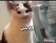 فهمیدن بزرگوار چی گفت دیگه→⁠_⁠→⁩