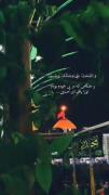 #اسـتورے 🦋‌ ‌