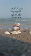 یازهراء(س).. ‌