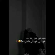 غمگین برای دلتنگی دلم این حال بدم