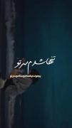 ت‍‌ن‍‌ه‍‌ا ش‍‌د‍م ‍س‍‌ر ‍ت‍‌و:))🙂