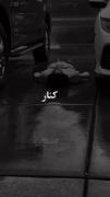 زندگی هیچیش منصفانه نیس رفیق باش کنار بیا🚶🖤