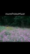 طُ برام با همه فرق داری)))))))