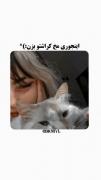 اینجوری مخ کراشتو بزن🎃‌‌‌‌‌‌‌‌