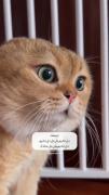 ننههه صداشووو🥲❤️‌‌‌‌‌‌‌‌‌‌‌‌‌‌‌‌‌
