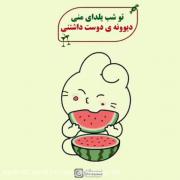 فقط من بودم که اینو نزاشتم😂‌‌‌