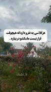 این زیادی حق‌نیست 🥲🖤❤️‍🩹🫳🏼