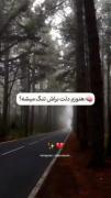 دلم برات تنگ شده لعنتی لعنتی ،دلم میخواد داد بزنم بگم بهت