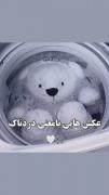 تنهایی پا نداره وگرنه اونم می‌رفت ☆✿☆