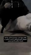 لعنت لعنت لعنت به تو و این قلب احمق من 