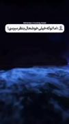 رک بگم ،من شکست خوردم:)........
