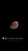 من دیوونه وار دوست داشتم و هنوز هم دارم:)