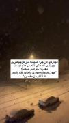 حقیقت تلخِ خیل هم تلخه جوری که از تلخیش نابود میشِ