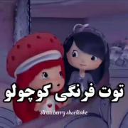 حیح...البته من مال قدیم هم ندیدم اصلا اون موقع نبودم😂