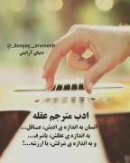 حقیقت این است.................... 