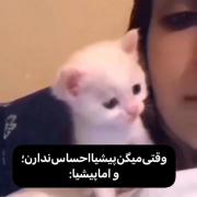 ووییییی‌‌‌‌‌‌‌‌‌‌‌‌‌‌‌‌‌‌‌‌‌‌‌‌‌‌