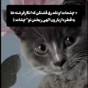 ‌‌‌‌‌‌‌‌‌‌‌‌‌‌‌‌‌‌‌‌‌‌‌‌‌‌‌‌‌‌‌‌