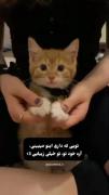 واهای پیشییی:)‌‌‌‌‌‌‌‌‌‌‌‌‌‌‌‌‌‌‌‌‌‌
