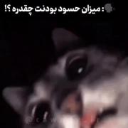 میزان حسود بودنت چقدره؟‌‌‌‌‌‌‌‌