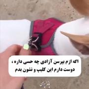 وایی ذوقشو:)‌‌‌‌‌‌‌‌‌‌‌‌‌‌‌‌‌‌‌