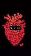 گربه ها خیلی خوبن:))‌‌‌‌‌‌‌‌‌‌‌‌