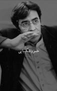 حقیقتی دیگر از زبان خسروشکیبایی