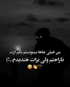 میتونستم بگم ولی خب نگفتم تا حالتو بد نکنم:) 