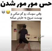 . . . . . .. . . . . . . . . .