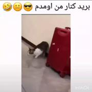 من اومدم😂😂😂. .. . . . . . .. 