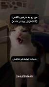 . .. . . . . . این منم😂😂. . . . . .