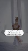 این منم😂 . .. . . . . . . .. . . . .