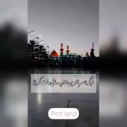 میگه ناصرالدین شاه یه سالی رفت کربلا.....