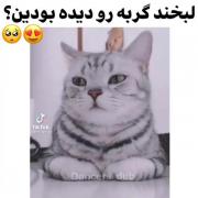 یکم زیبایی ببینیم :*))))))))))
