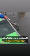 با خنده ی ترسناک کروکدیل آشنا بشید:)))😁