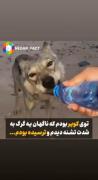زندگی یا مرگ؟ ولی جوری که مهربون بود>>>>>>🥹