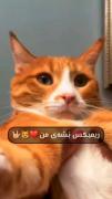 ***بشــه منــه ریمیکس ***😅😸*