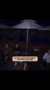 فقط ذوغ کردناشون چقدر کیوت😊😊