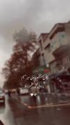 دلگرم کننده ترین حقیقت تاریخ: خدا هواسش به قلبت هست . . 🕊❤