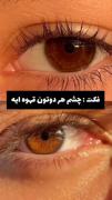 عشقی کل پایدار است و همیشه پیشت میمونه 