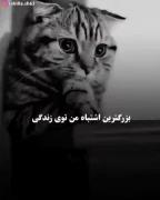 ارام ارام میفهمی در جهان فقط به خودت میدونی اعتماد کنی