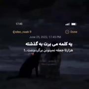 متنفرم از حرفایی که مدعی میشه گند بخوره به کل روزم) :