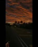دلم من هواتو کرده🙂🦋👩‍🦯)))))