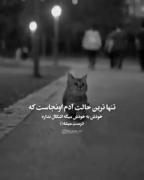 هعیییییی.........................