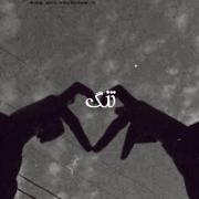 اهنگ گاهی وقتا آدم میکنه خب هوس کهبره