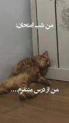 حقیقت 😶😶😂 ‌ ‌ ‌ ‌ ‌‌ ‌ ‌ ‌ ‌‌ 