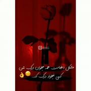 ۰۰۰۰۰۰۰۰۰۰۰♡♡♡♡♡♡♡♡♡♡♡۰۰۰۰۰۰۰۰۰۰۰۰۰۰۰