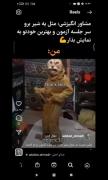 ایشون ادمی هست در قالب شیییییییییر